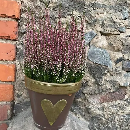 E & A Lossi 21/23 Appartement Tartu