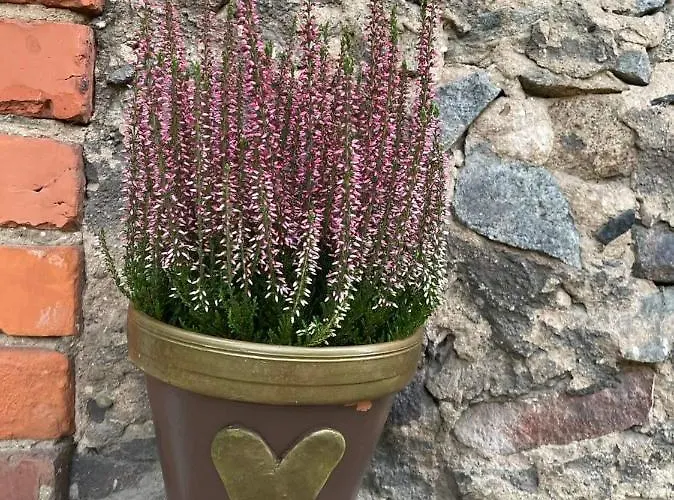 E & A Lossi 21/23 アパート タルトゥ